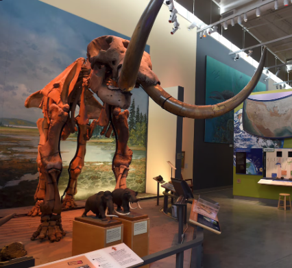 Screenshot 2025-10-30 at 9.12.34 AM.png