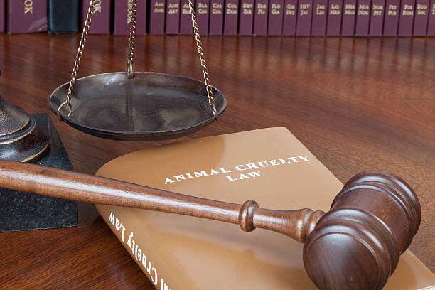 Three People Charged After Investigation Into Animal Abuse In Big Flats