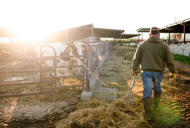 istockphoto-992602546-612x612.jpg istockphoto-992602546-612x612.jpg