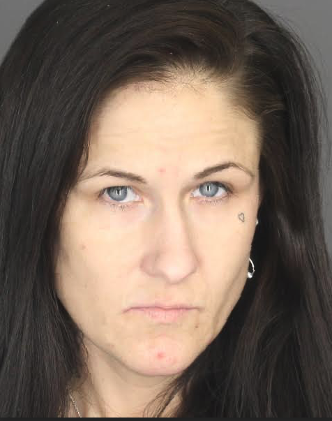 Traffic Stop Leads To Drug Charges For Two In Elmira