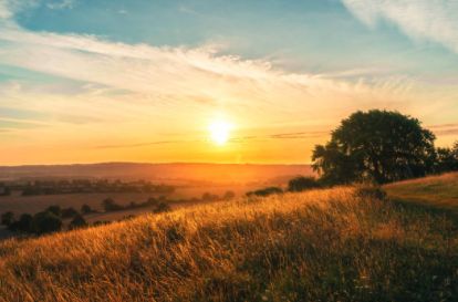 Random Rural News And Chat