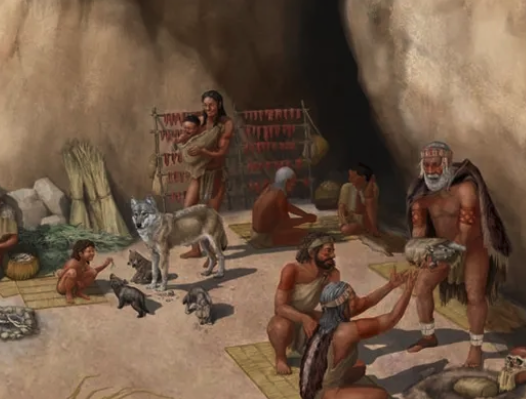 Scientists Identify The World's First Known Dog, Which Pushes  Back The Animal's Genetic Record By 5,000 Years