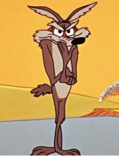 Coyote Vs. Acme