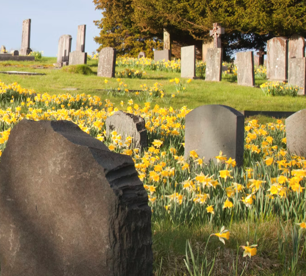 Boom In Cremation Hides Surprising Truths About What Americans Really Want When They Die