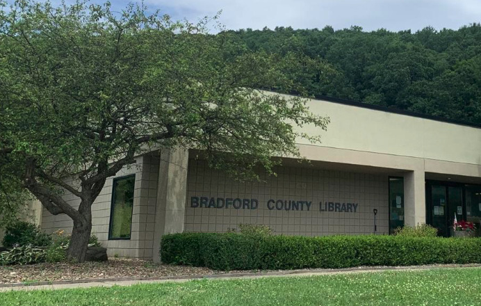 Morning Times: Bradford County Library Releasing 400 Non-Stinging Bees Thursday