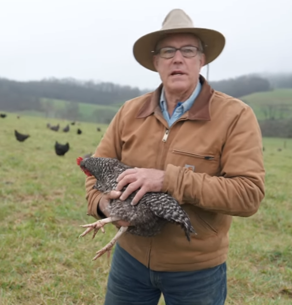 Raise Chickens On Pasture Like The Lunatic Farmer