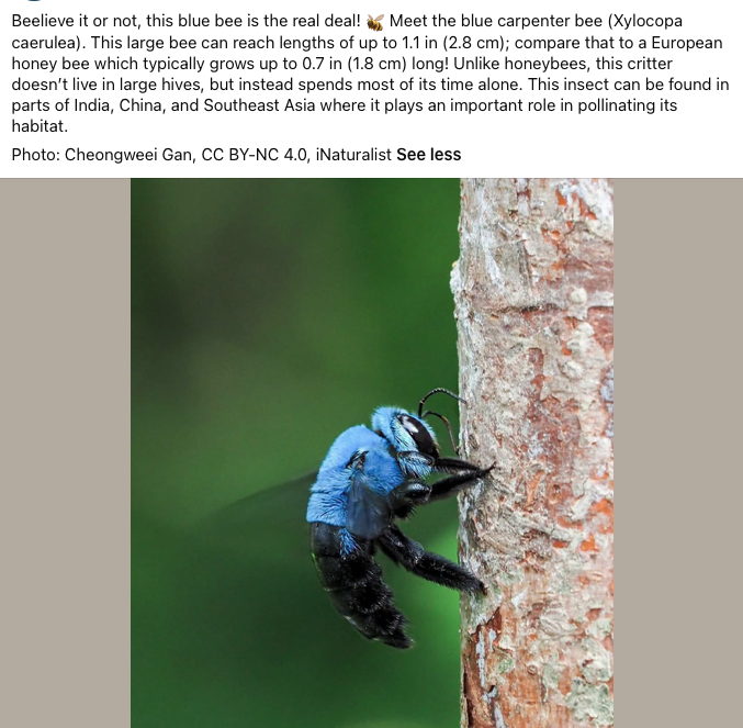 Screenshot 2026-06-19 at 9.23.56 AM.png