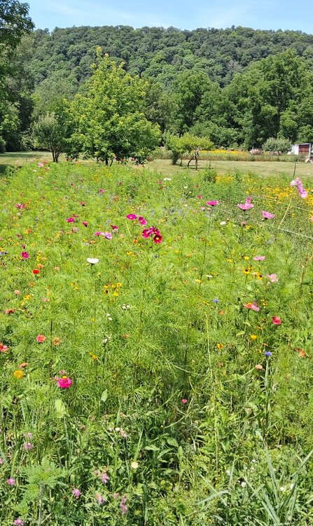 20260724_121016(1).jpeg
