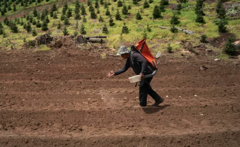 High Fertilizer Costs Likely To Cause Food Price Spikes