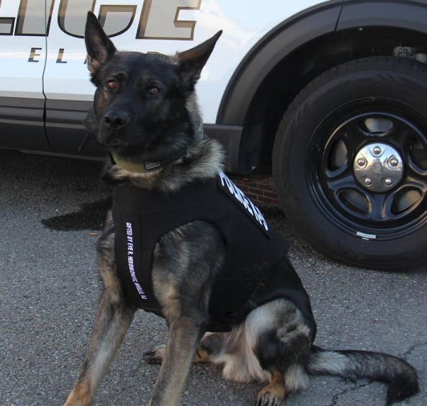 EPD K-9 "Grady" Receives Gift Of Body Armor