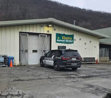 Press Conference - City Of Elmira Addresses Animal Shelter Closure Due To Parvo Outbreak